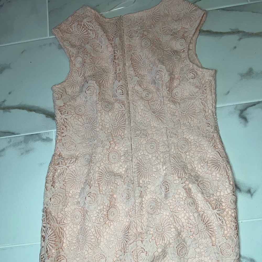 ð
ºMaggy London lace dress - Picture 4 of 10